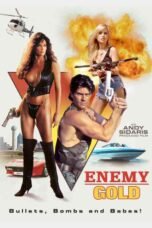 Enemy Gold (1994)